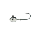  Gizzard Shad