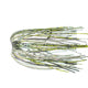  Magic Shad