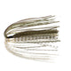  Golden Shiner